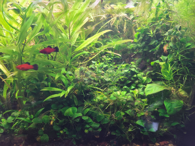 Photographie du post de laurent-galichet 