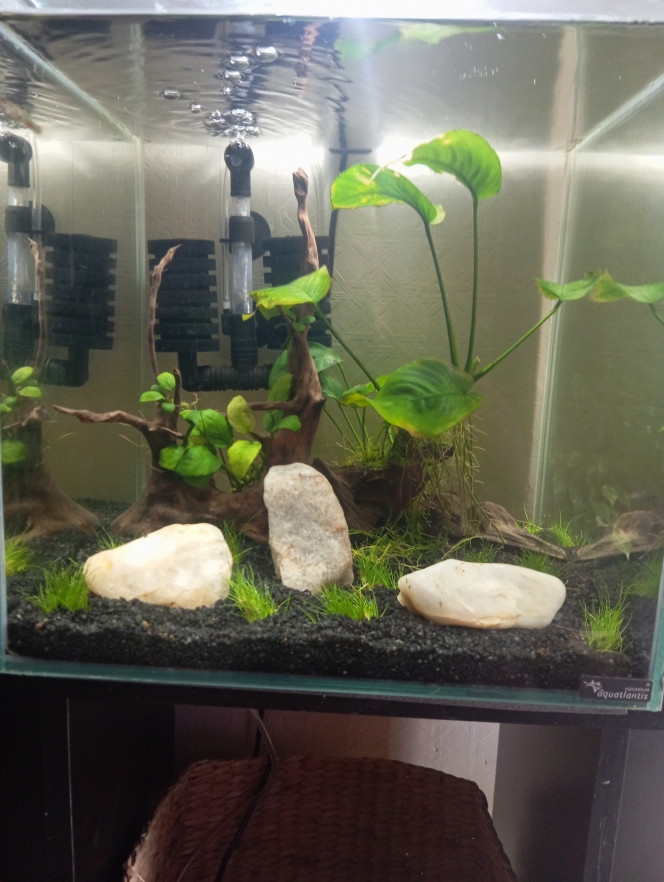 Photographie du post de Fafa1921 