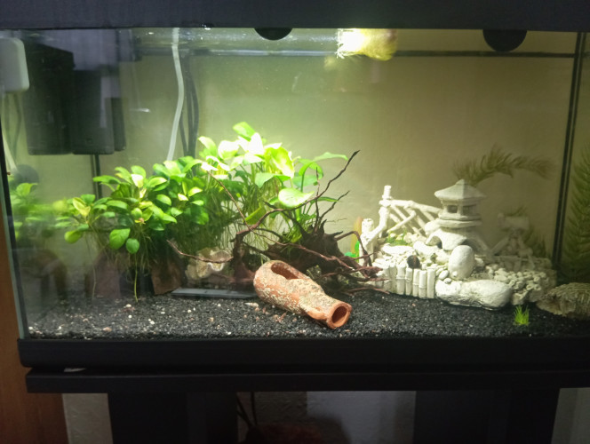 Photographie du post de Fafa1921 