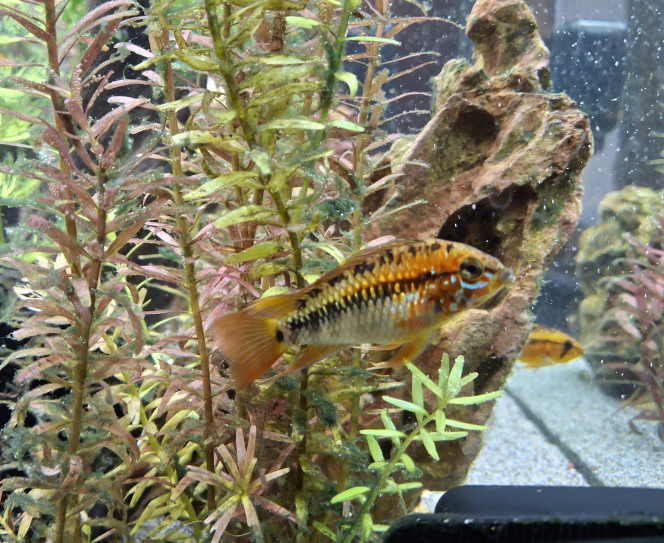 Photographie du post de StephL 