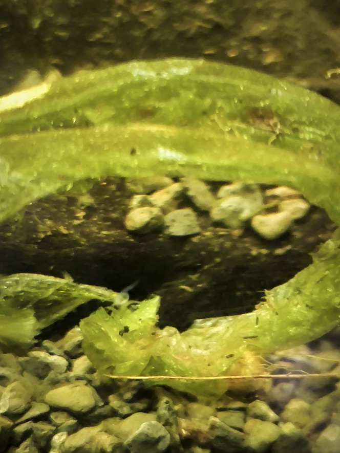 Photographie du post de Guigui-tkt 