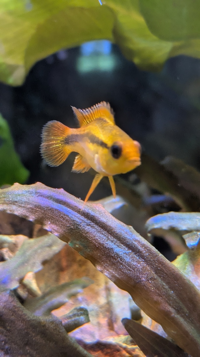 Photographie du post de Stephane06580 