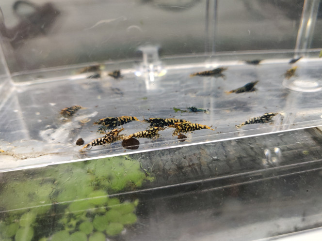 Photographie du post de Arno19 