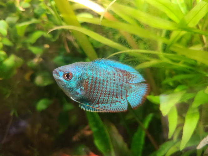 Photographie du post de laurent-galichet 