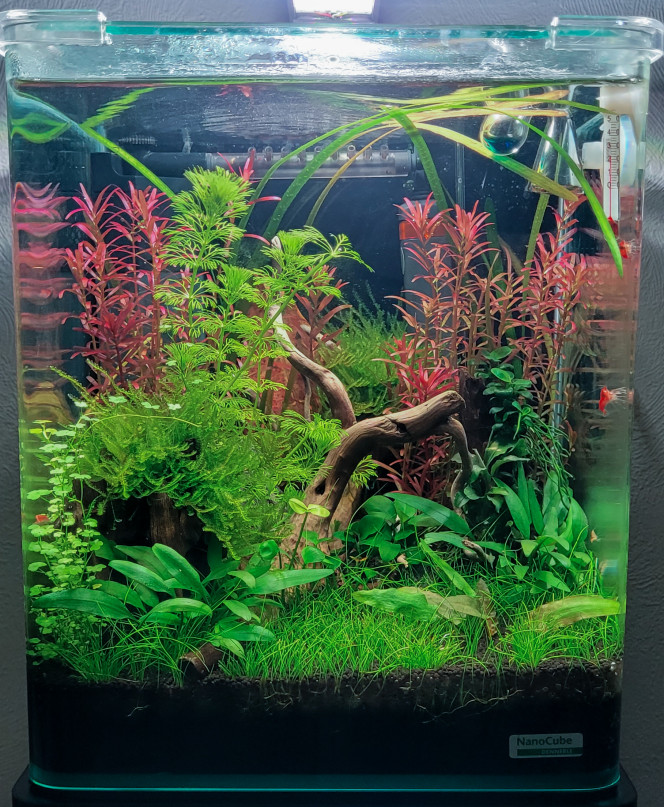 Entretien  hebdomadaire 