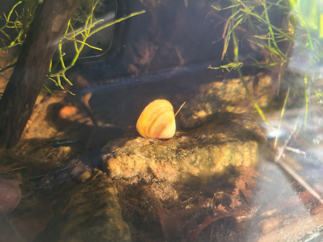 Photographie du post de laurent-galichet 