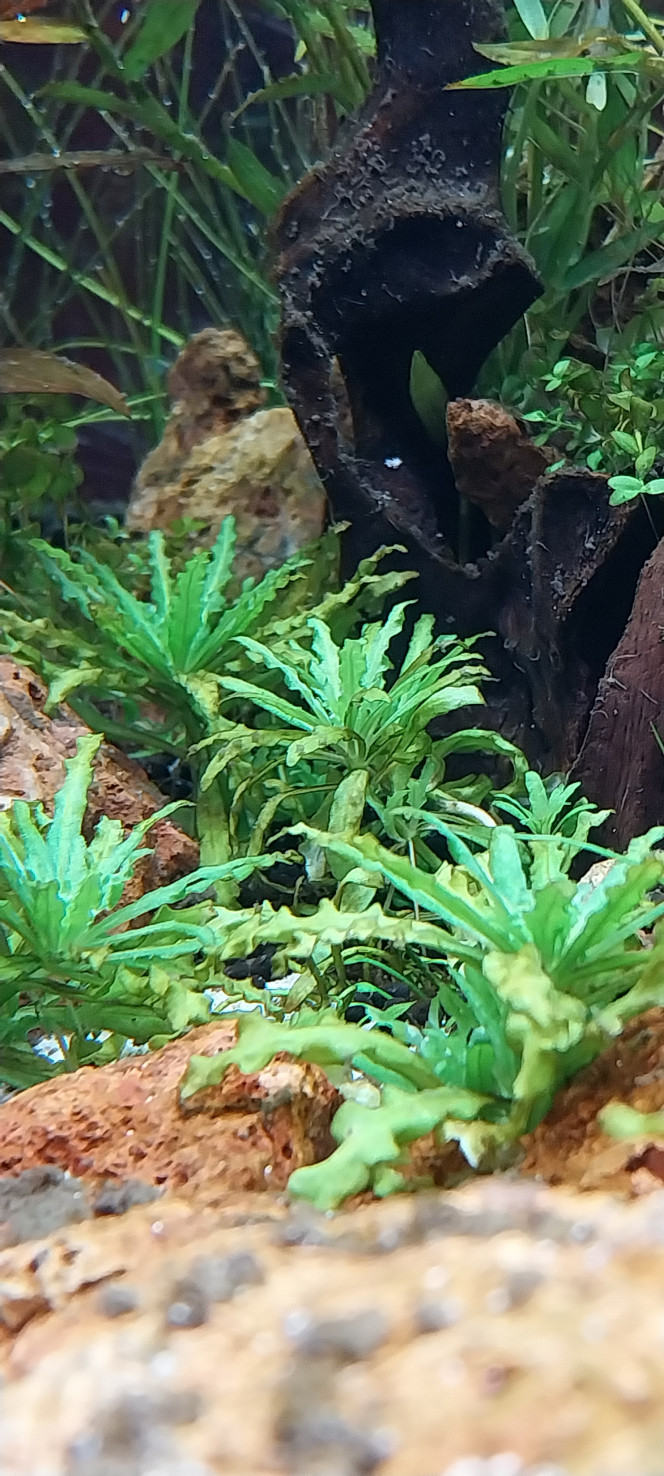 Photographie du post de STK54 