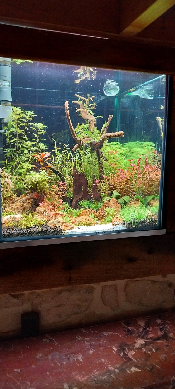 Photographie du post de STK54 