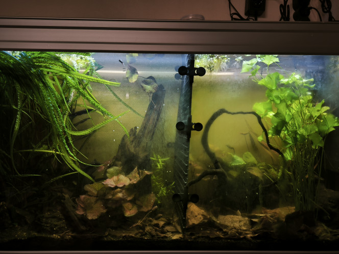 Photographie du post de Guigui-tkt 