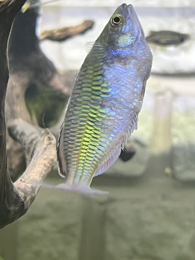 Photographie du post de Emmanuel07 