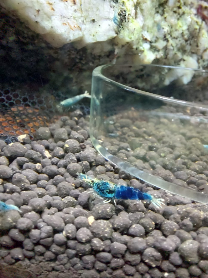 Photographie du post de aqua1230 