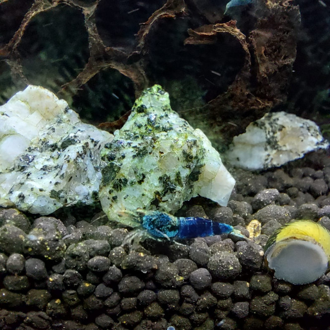 Photographie du post de aqua1230 