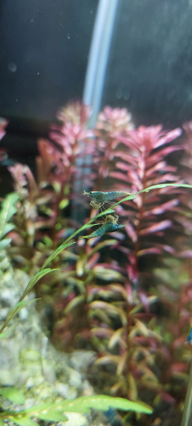 Photographie du post de aqua1230 