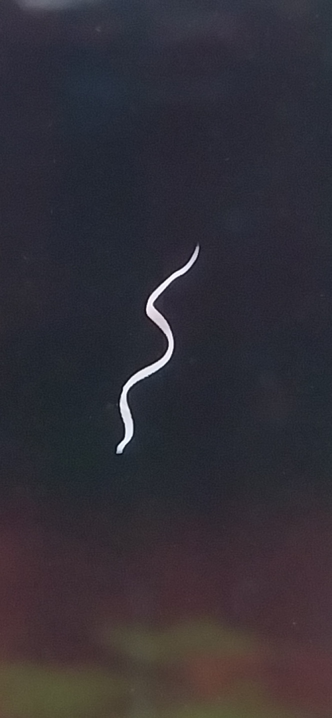 Photographie du post de STK54 