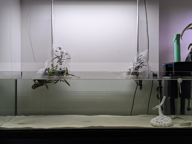  Travail sur futur décor en cours