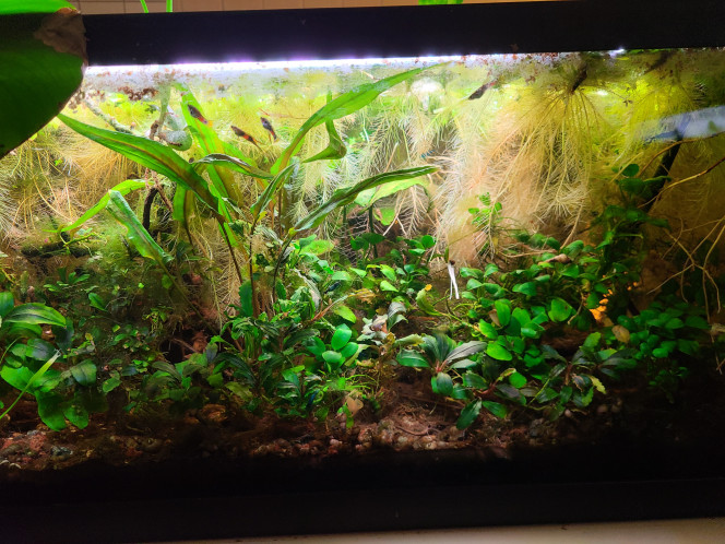 Photographie du post de laurent-galichet 