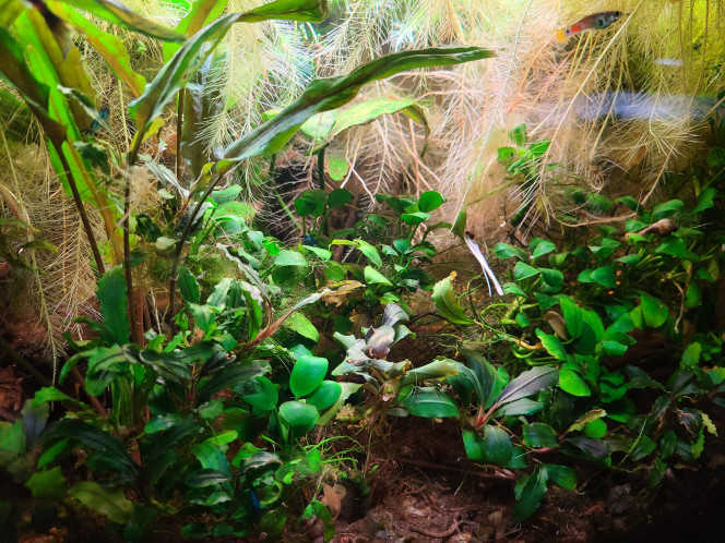 Photographie du post de laurent-galichet 