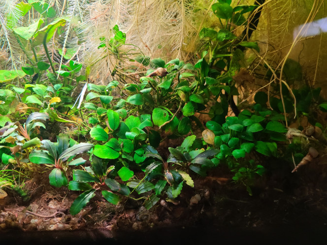 Photographie du post de laurent-galichet 