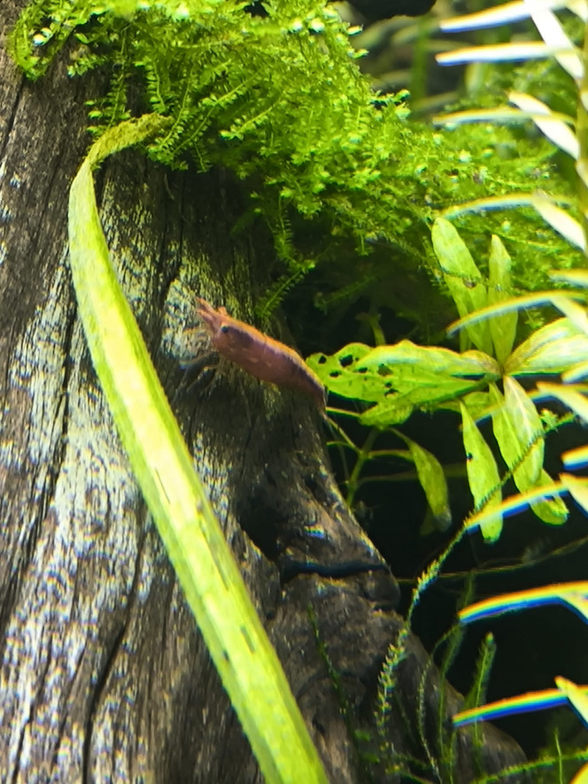 Photographie du post de Ffarfadet 