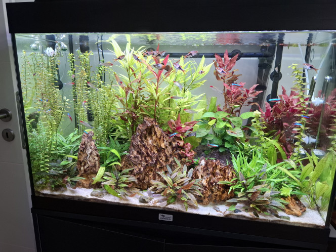 Photographie du post de Guiguidu57 