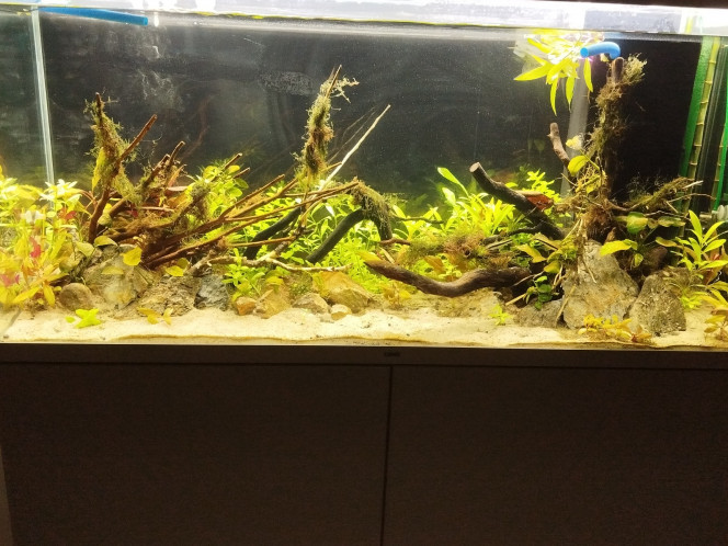 Photographie du post de Fla34070 