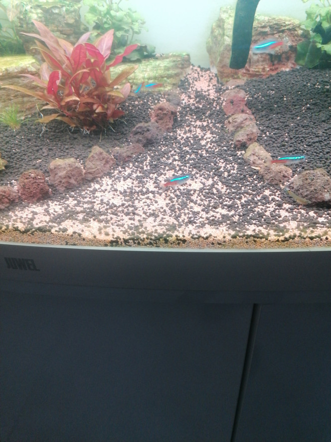 Photographie du post de Barbu62 