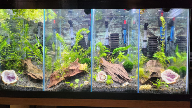 Photographie du post de Hugy34 