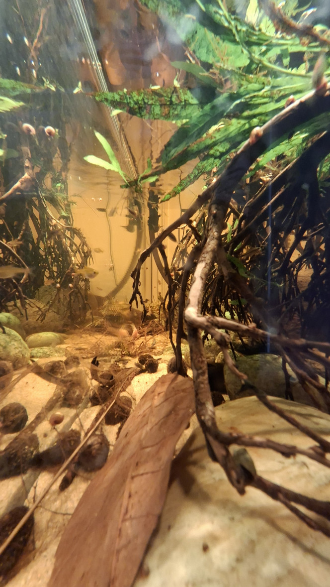 Photographie du post de fuzzytooth 