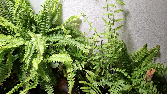 Photographie du post de fuzzytooth 