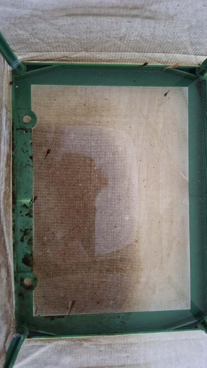 Photographie du post de fuzzytooth 