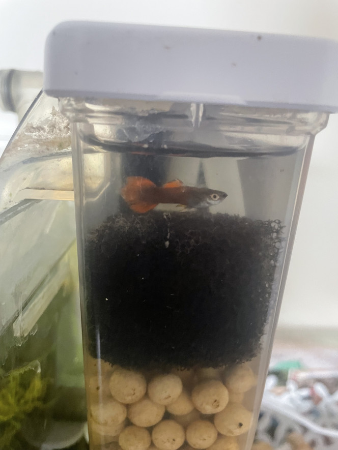 Photographie du post de Alphabar 