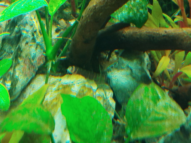 Photographie du post de Fla34070 