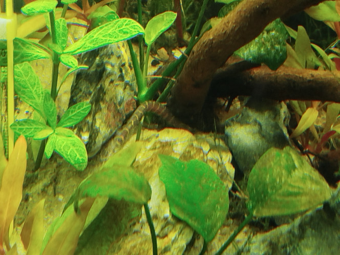 Photographie du post de Fla34070 