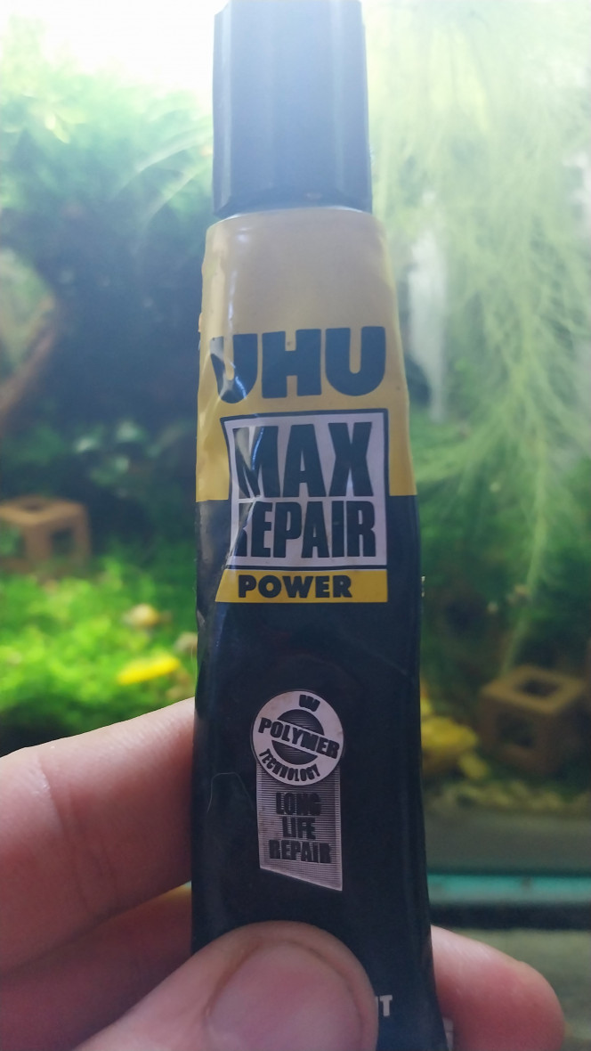 Photographie du post de Yoshi971 