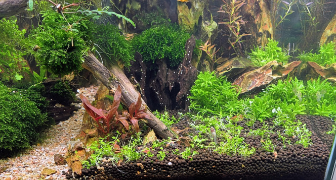 Photographie du post de Yannick66 