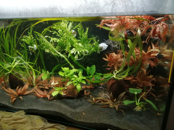 Photographie du post de lexx 