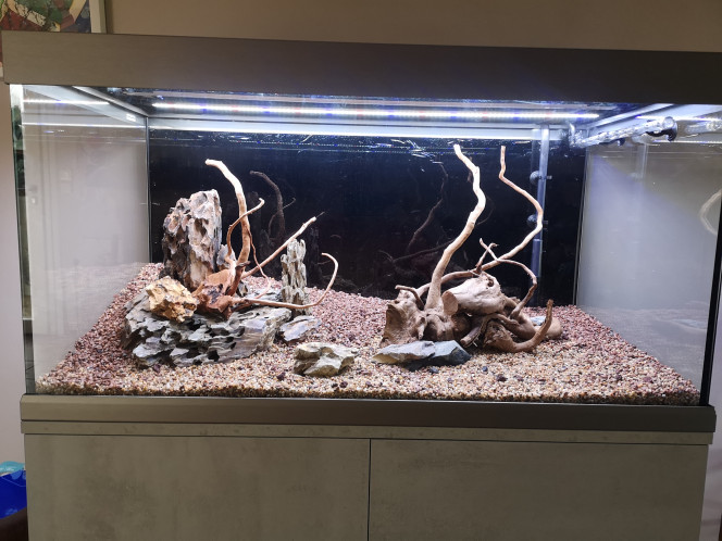  Prêt pour les plantes