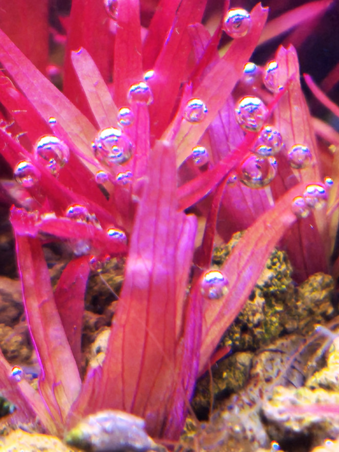 Photographie du post de Loran 