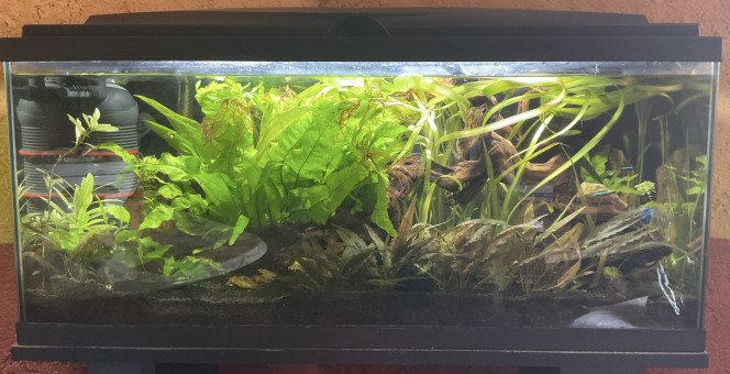 Photographie du post de Nahemafleur 