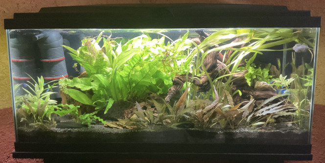 Photographie du post de Nahemafleur 