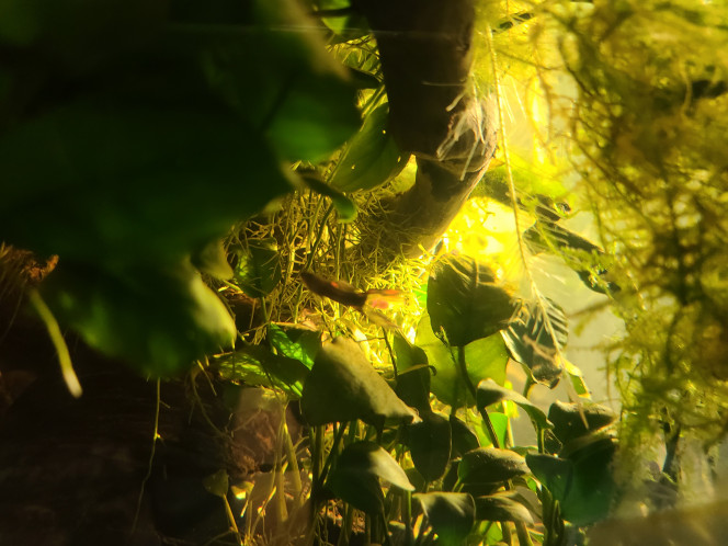 Photographie du post de laurent-galichet 