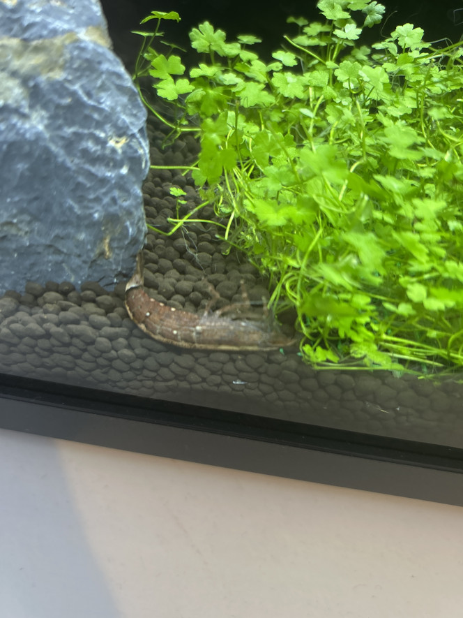 Photographie du post de White_0 