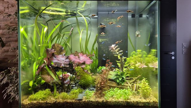 Photographie du post de Alex_Saignor 