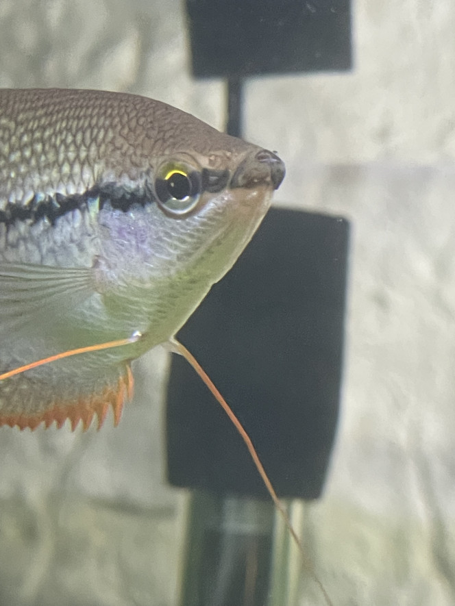 Photographie du post de Emmanuel07 