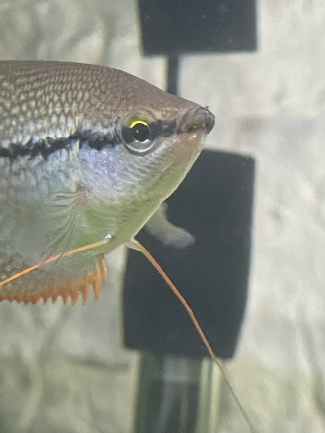 Photographie du post de Emmanuel07 