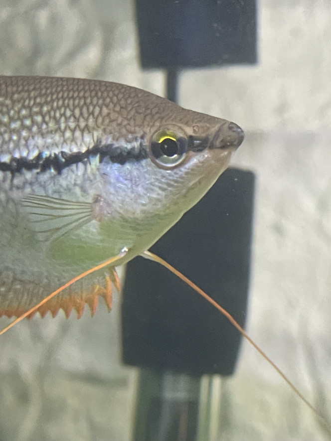 Photographie du post de Emmanuel07 