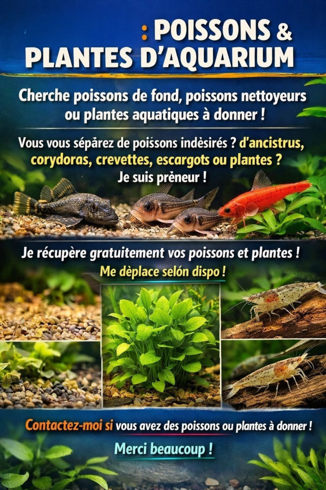 Photographie du post de Hobhob 