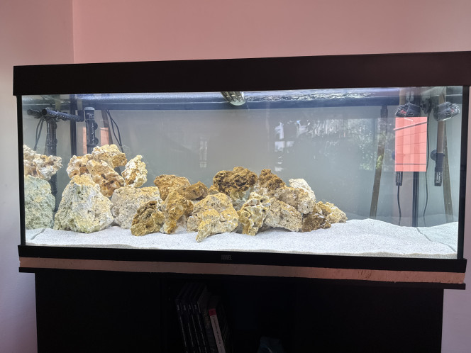 Photographie du post de BiBi-67 