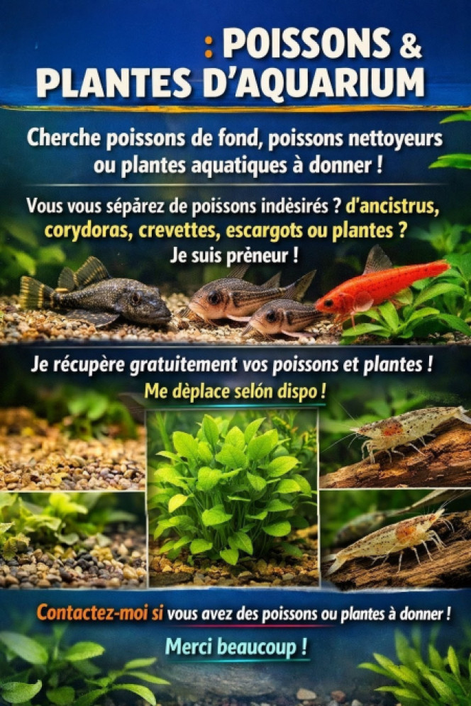 Photographie du post de Guigui-tkt 