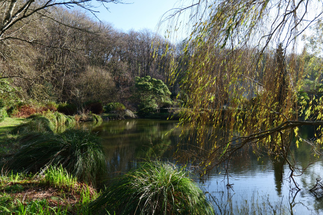 Photographie du post de ThomLA 